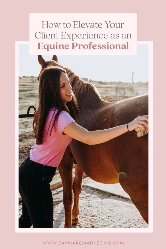 how-to-elevate-your-client-experience-as-an-equine-professional