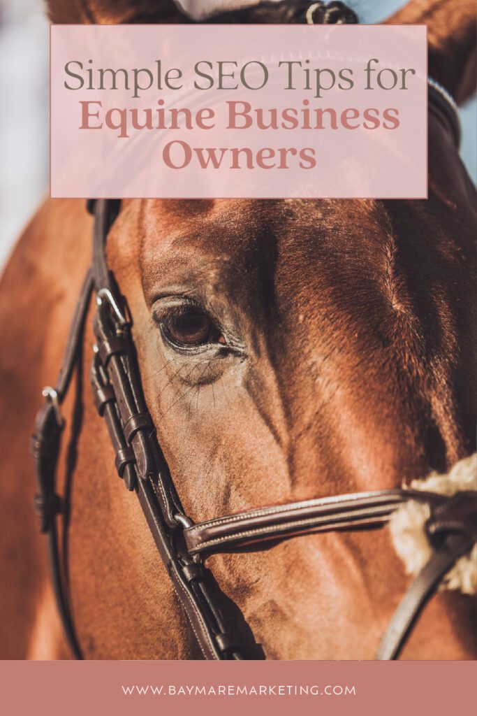 simple-seo-tips-for-equine-business-owners